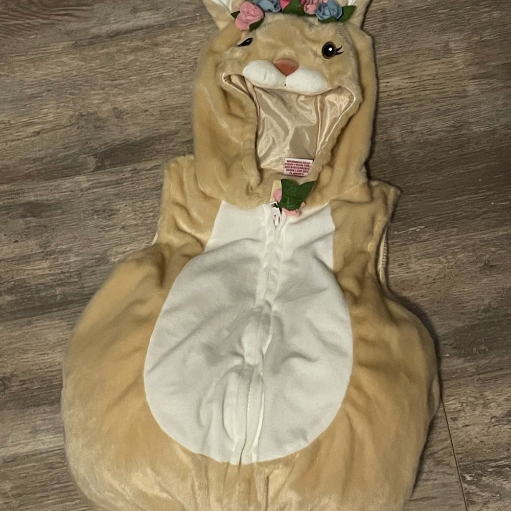 Infant Bunny Costume